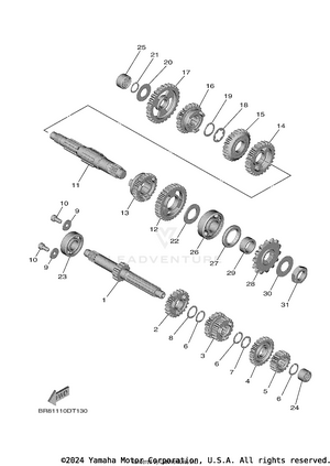 Transmission Schematic