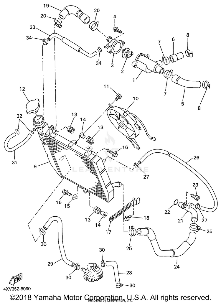Radiator Hose Schematic