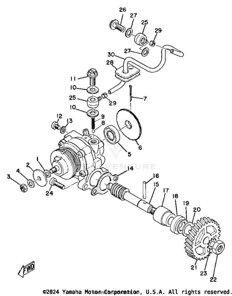 Oil Pump Schematic