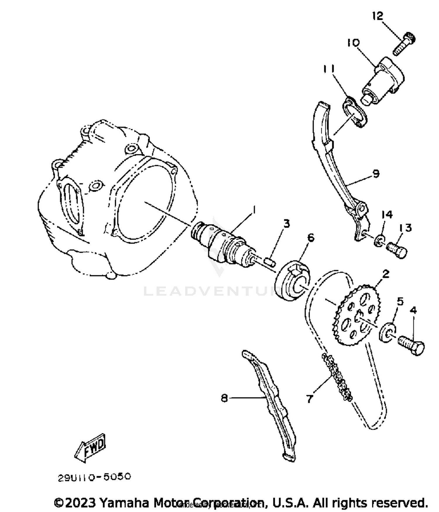 CAMSHAFT - CHAIN