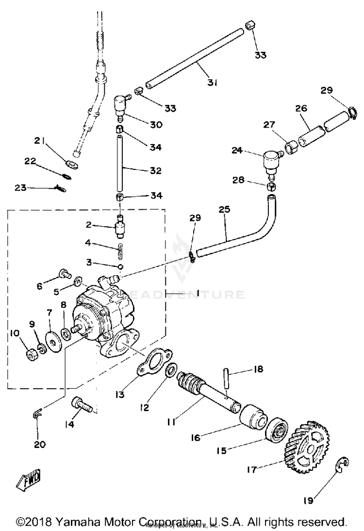 Oil Pump Schematic