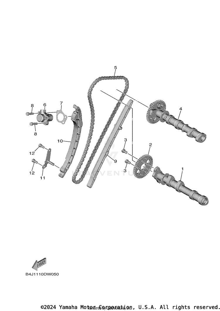 Camshaft & Chain Schematic