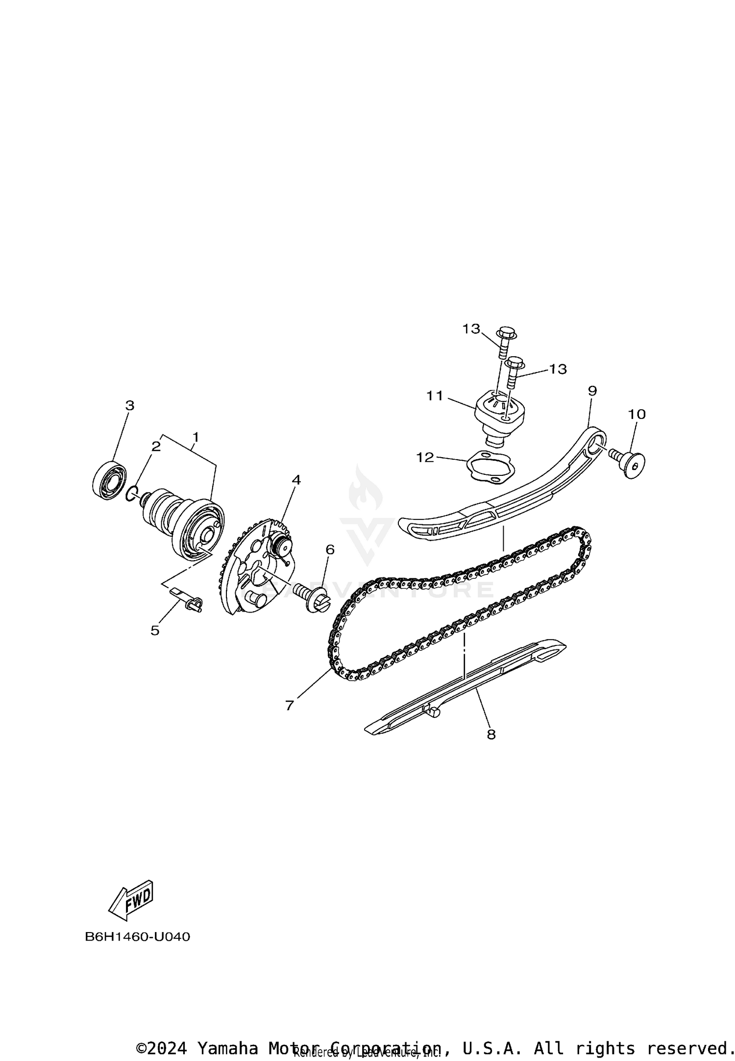 CAMSHAFT & CHAIN