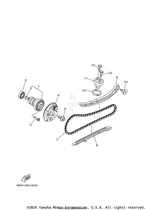 Camshaft & Chain Schematic