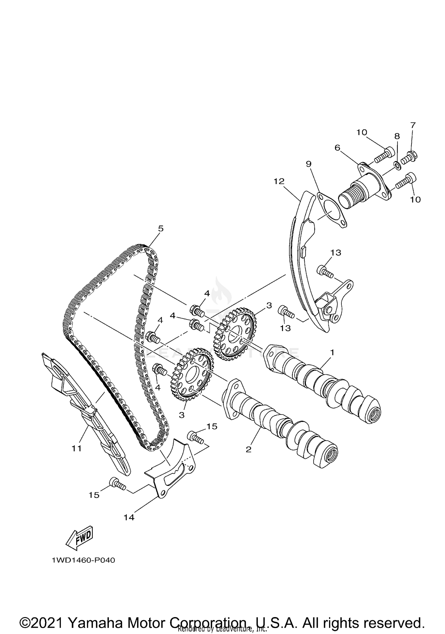 CAMSHAFT & CHAIN