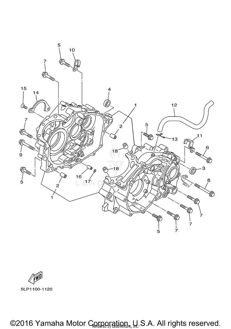 Crankcase Schematic