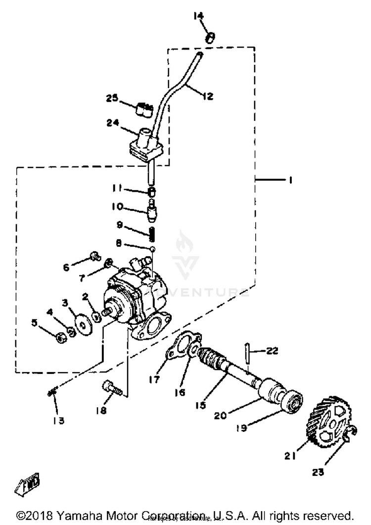 Oil Pump Schematic