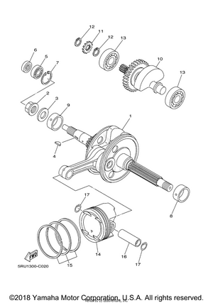 Crankshaft Piston Schematic