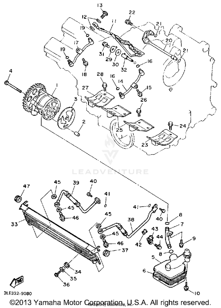Oil Pump Schematic
