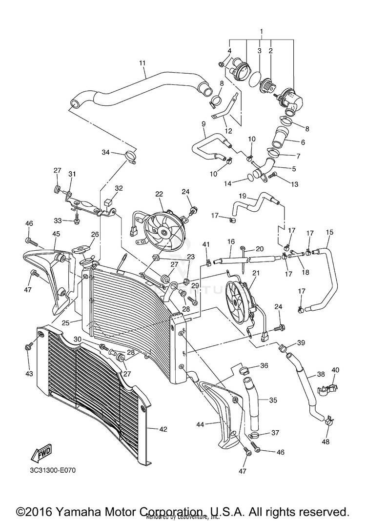 Radiator Hose Schematic