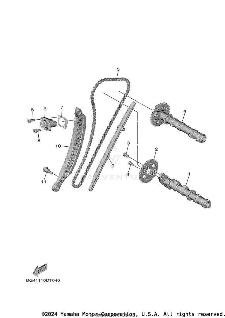 Camshaft & Chain Schematic