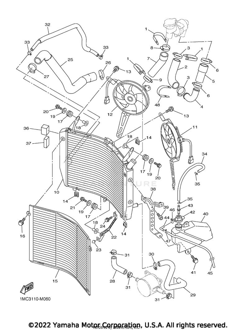 Radiator Hose Schematic