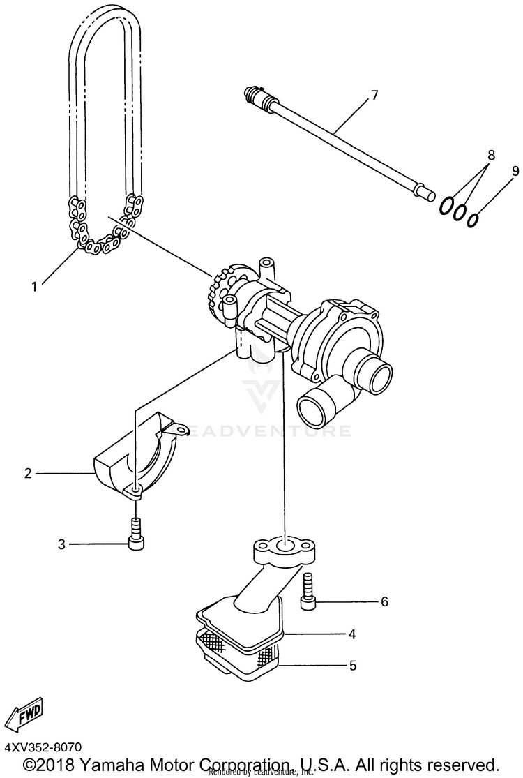 Oil Pump Schematic
