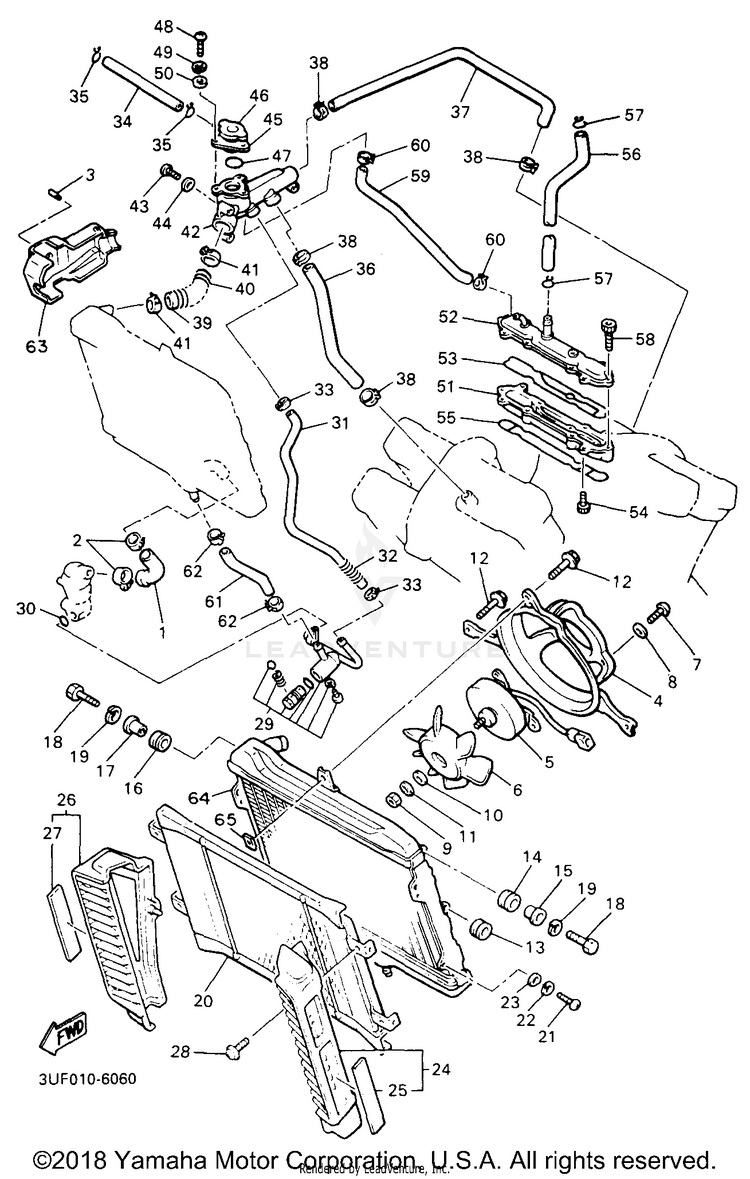 Radiator Hose Schematic