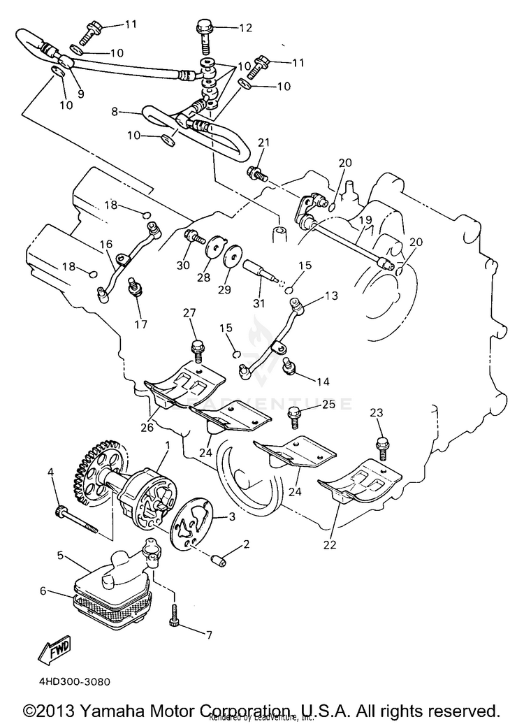 Oil Pump Schematic