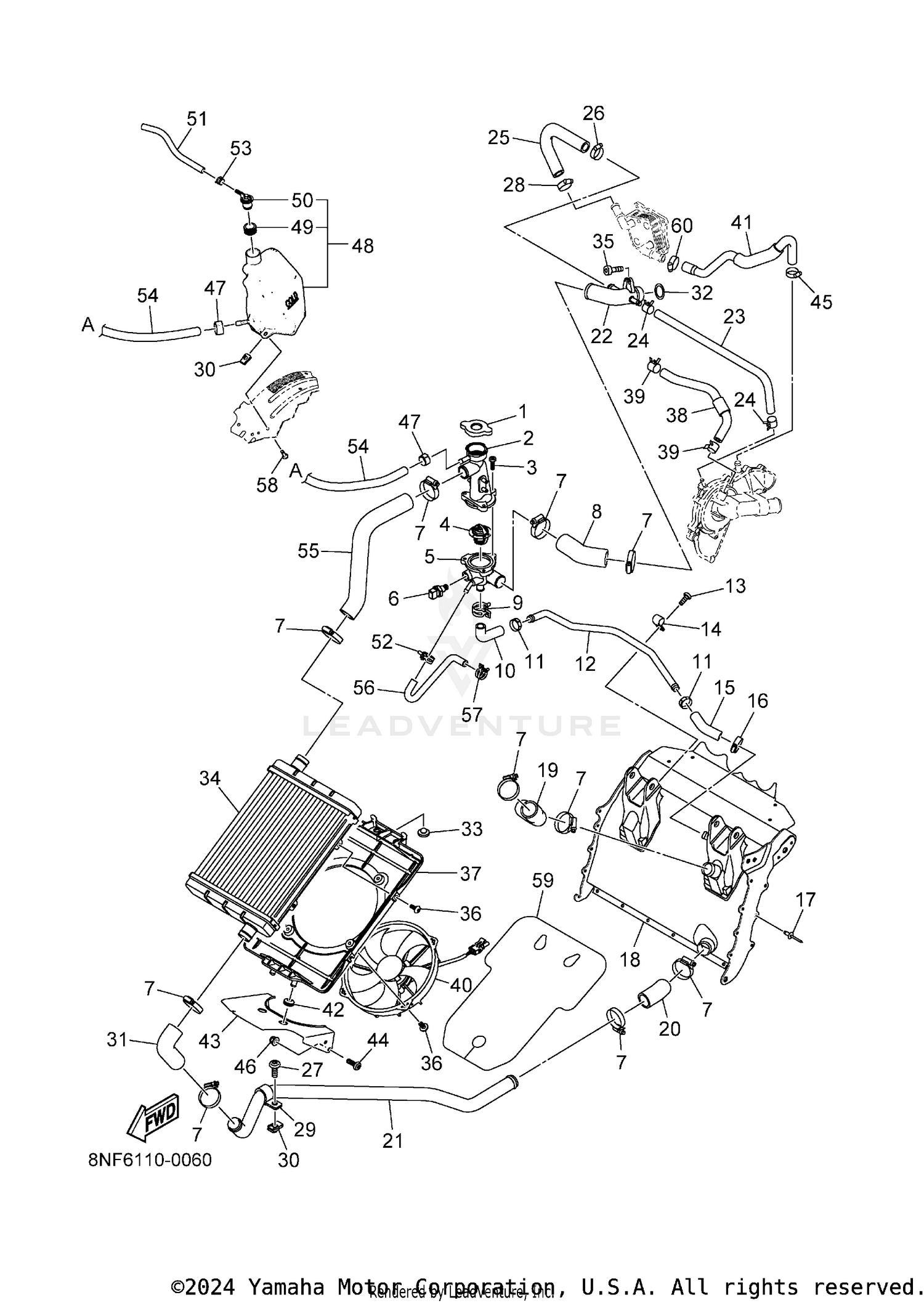 RADIATOR & HOSE