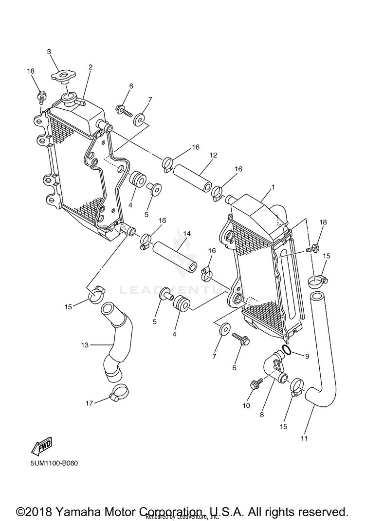 Radiator Hose Schematic