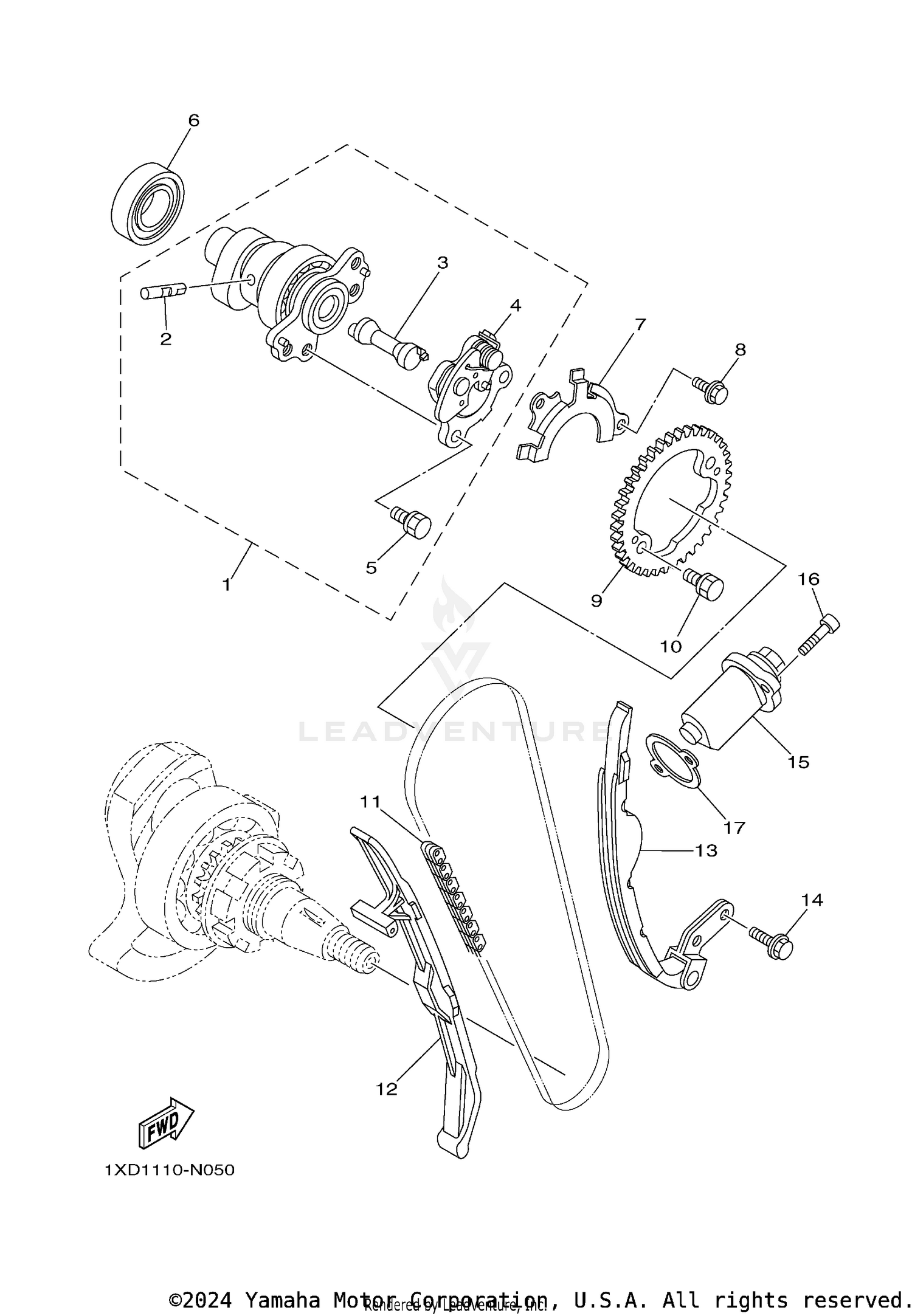 CAMSHAFT & CHAIN