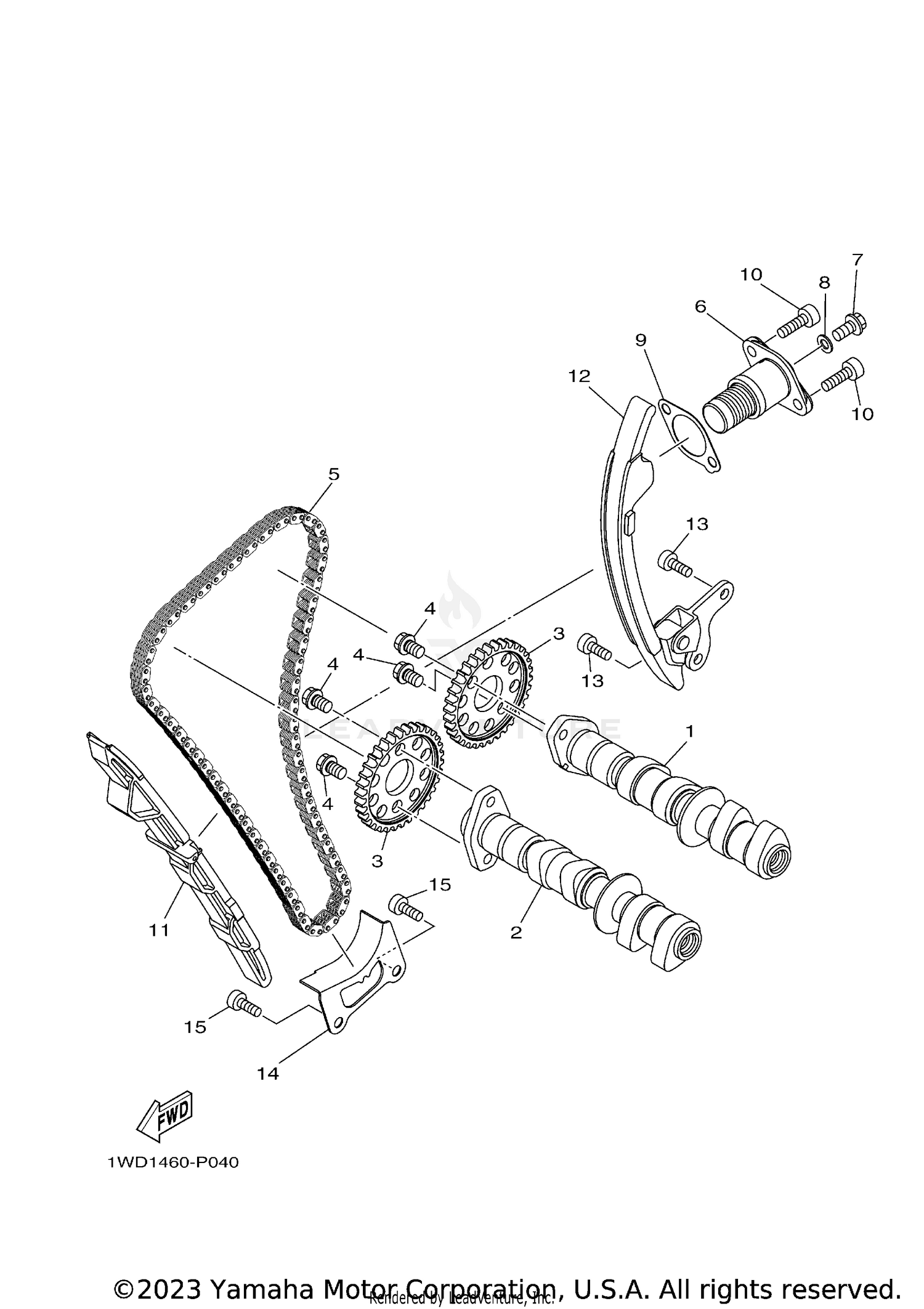 CAMSHAFT & CHAIN