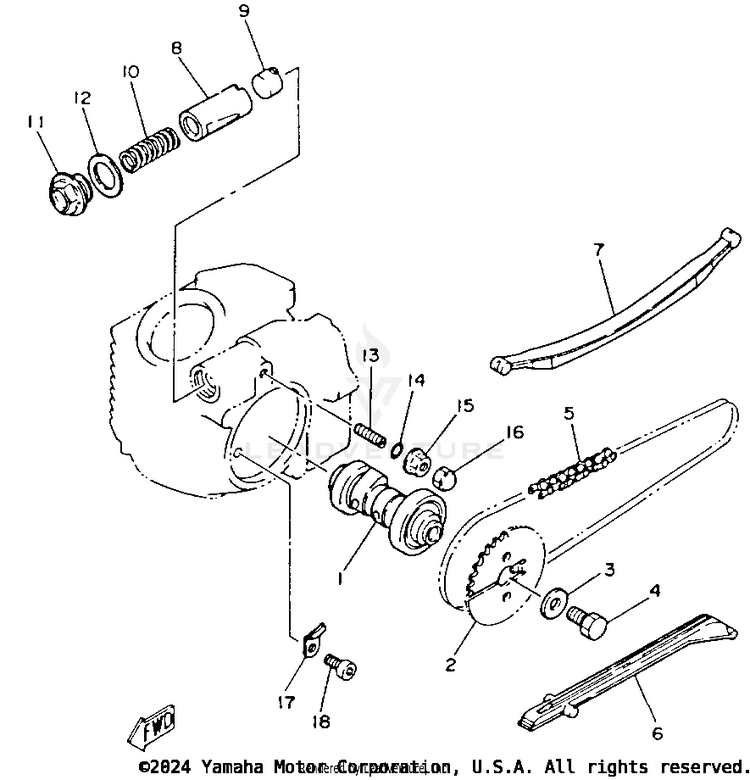 Camshaft - Chain Schematic