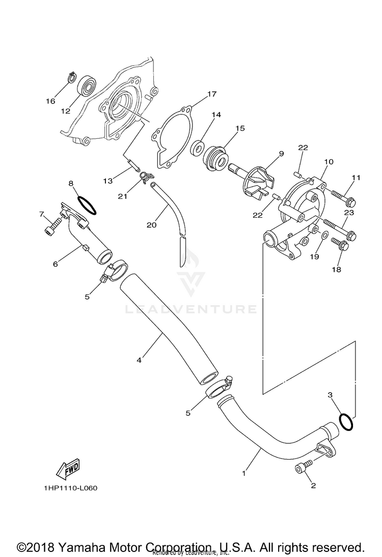 Water Pump GRIZZLY EPS 4WD - YFM70GPAKR - 2019 Schematic