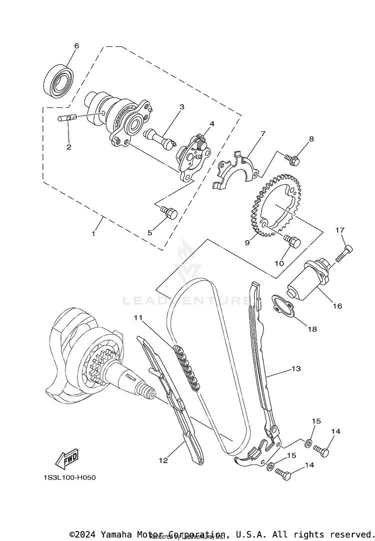Camshaft & Chain Schematic