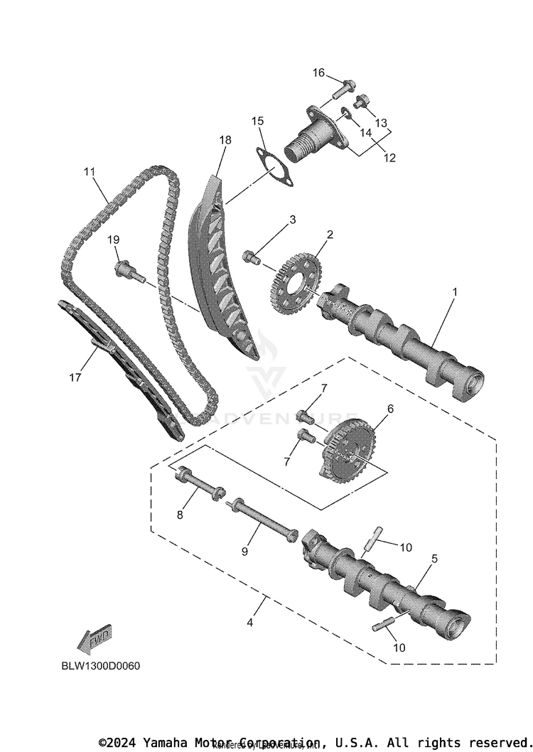 Camshaft & Chain Schematic