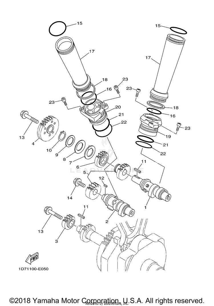 Camshaft Chain Schematic