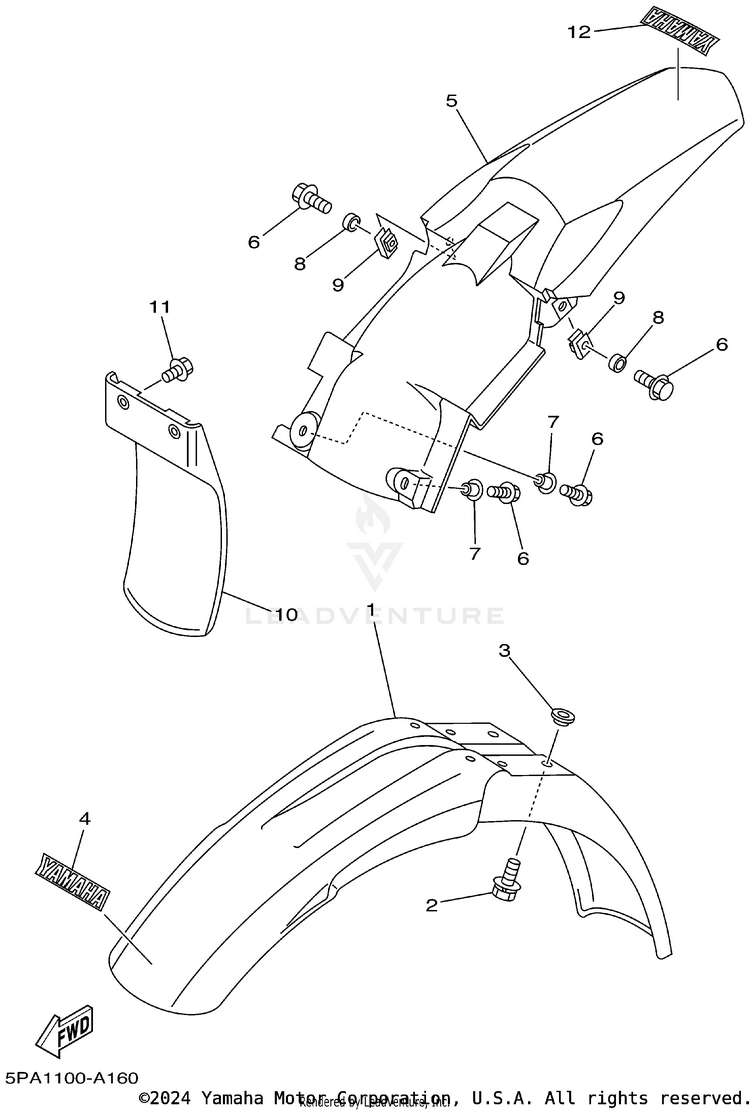 Fender Schematic