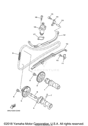 Camshaft Chain Schematic