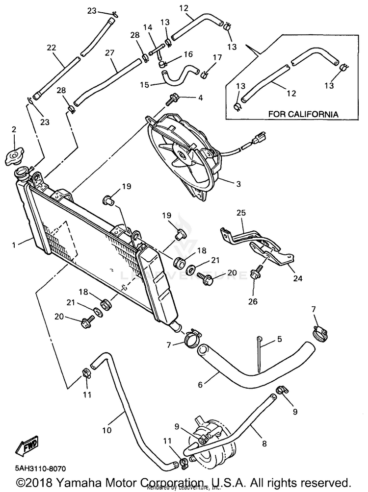 Radiator Hose Schematic