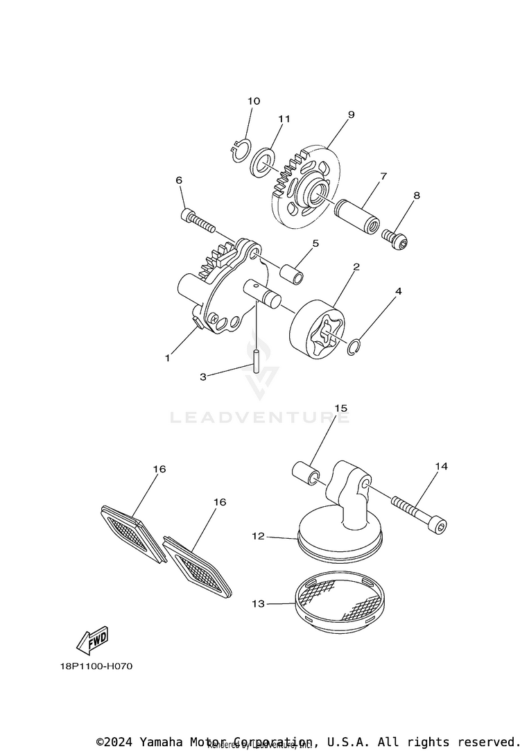 Oil Pump Schematic
