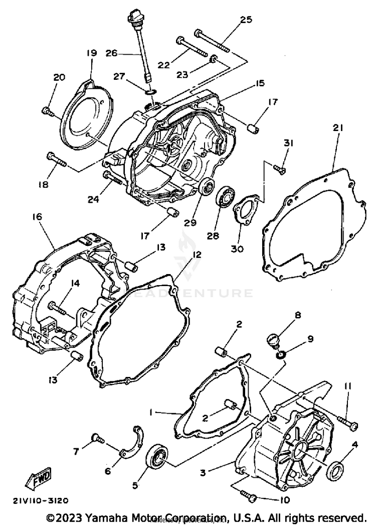 Crankcase Cover Schematic