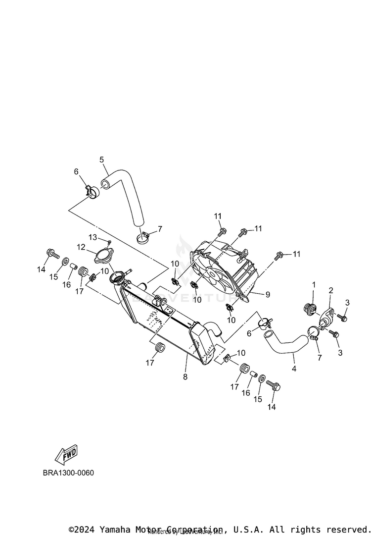 Radiator & Hose Schematic