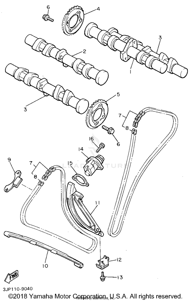 Camshaft Chain Schematic