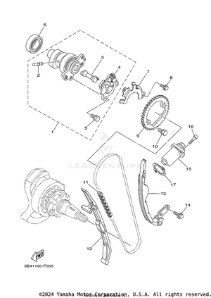 Camshaft & Chain Schematic