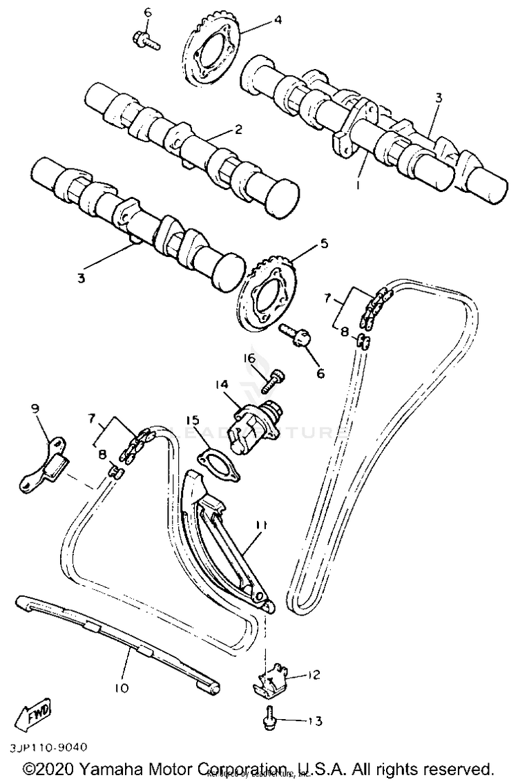 Camshaft Chain Schematic