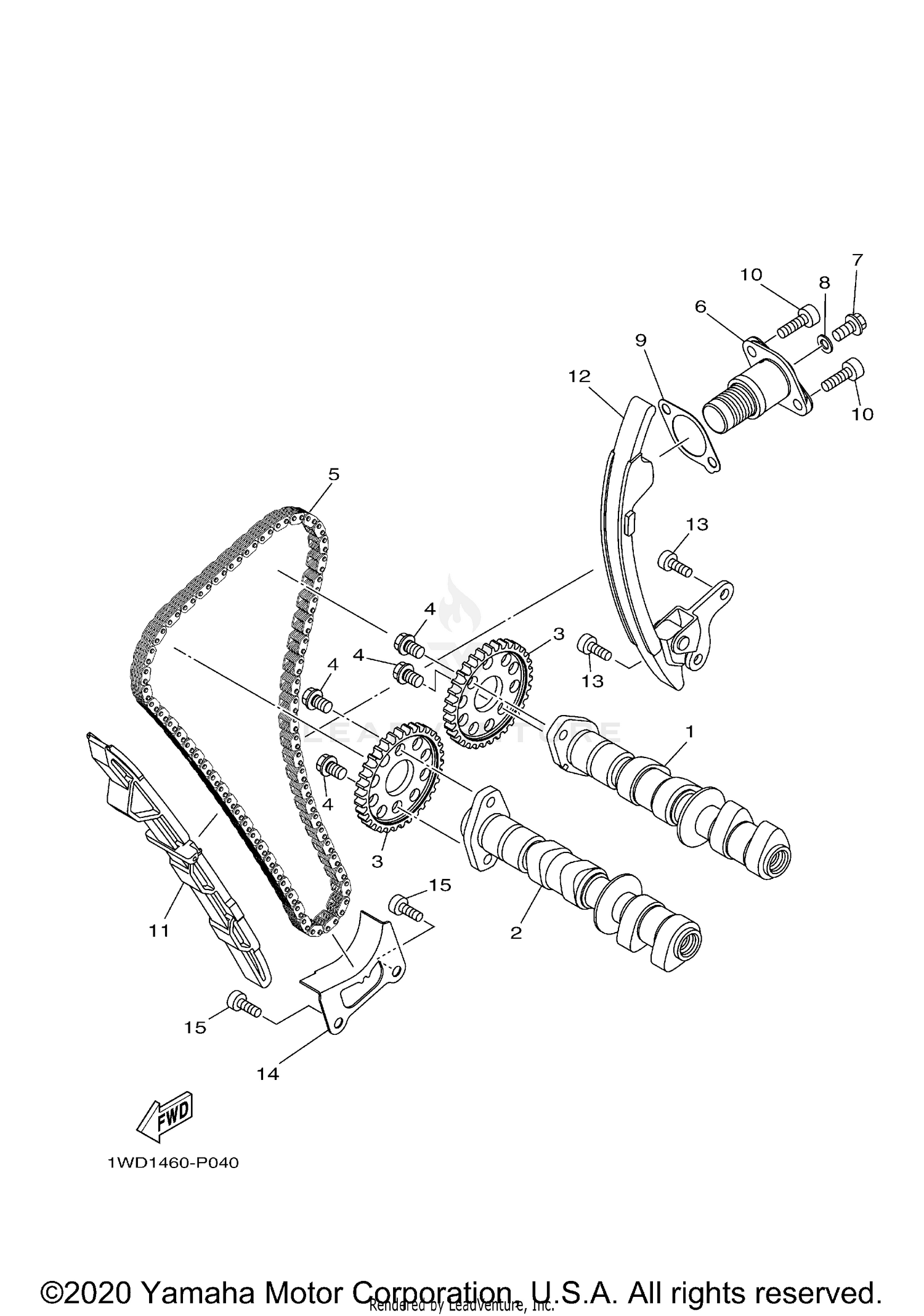 CAMSHAFT & CHAIN