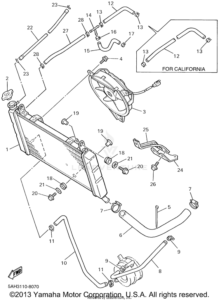 Radiator Hose Schematic