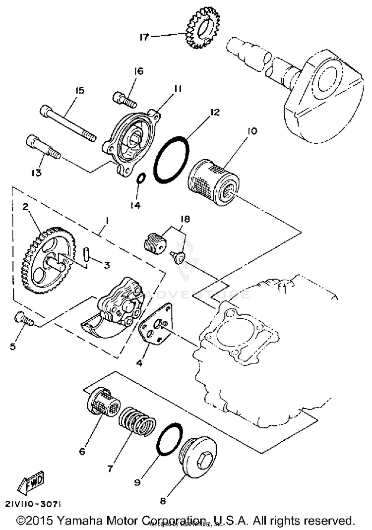 Oil Pump Schematic