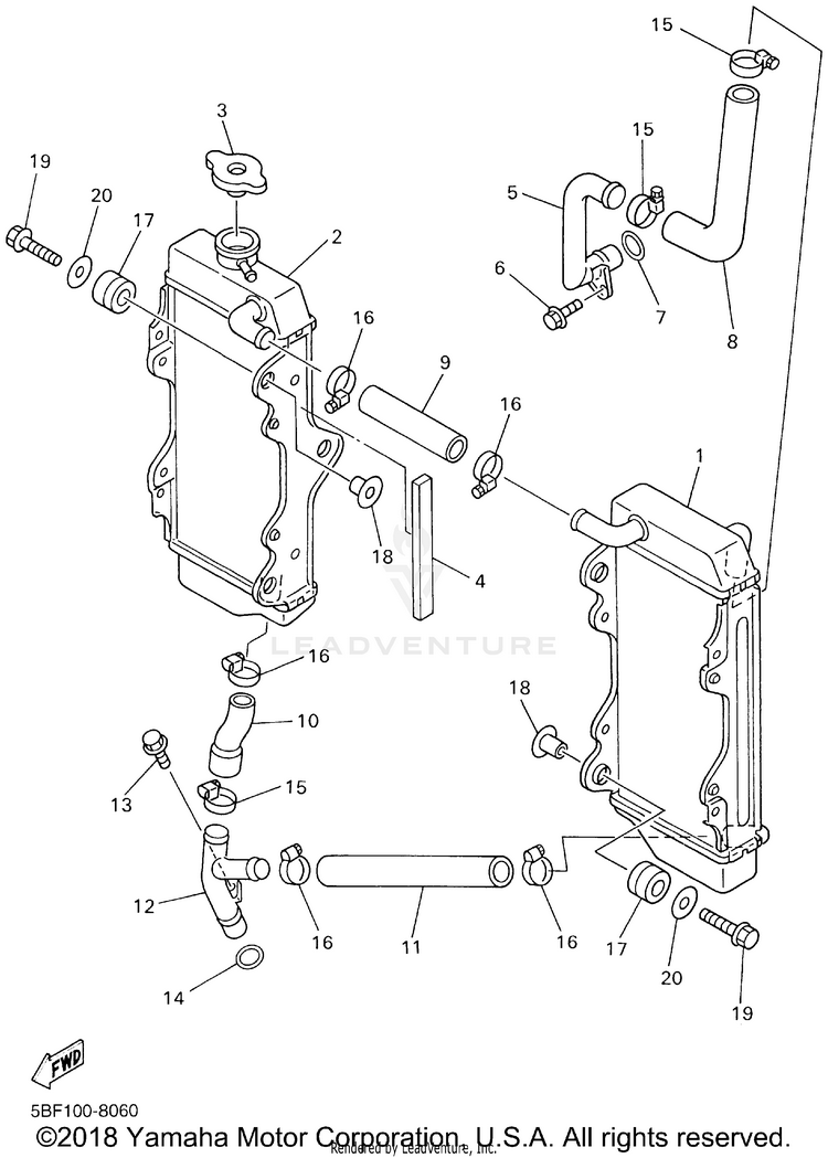 Radiator Hose Schematic