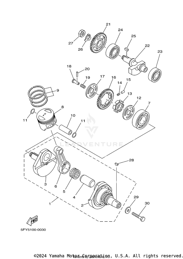 Crankshaft & Piston Schematic