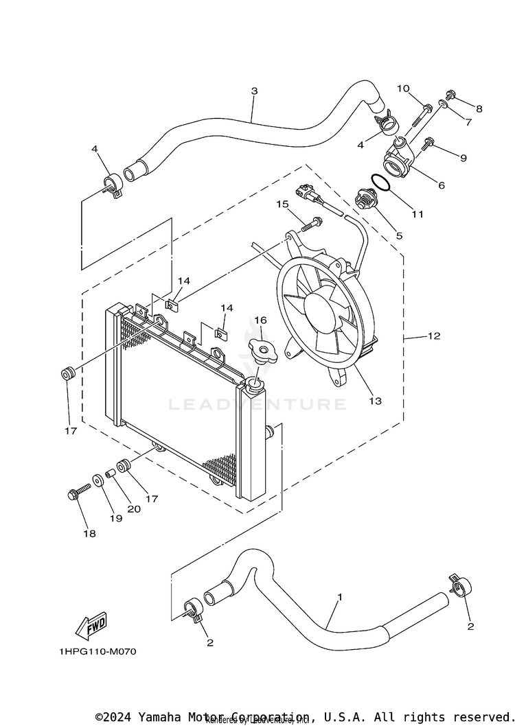 Radiator & Hose Schematic