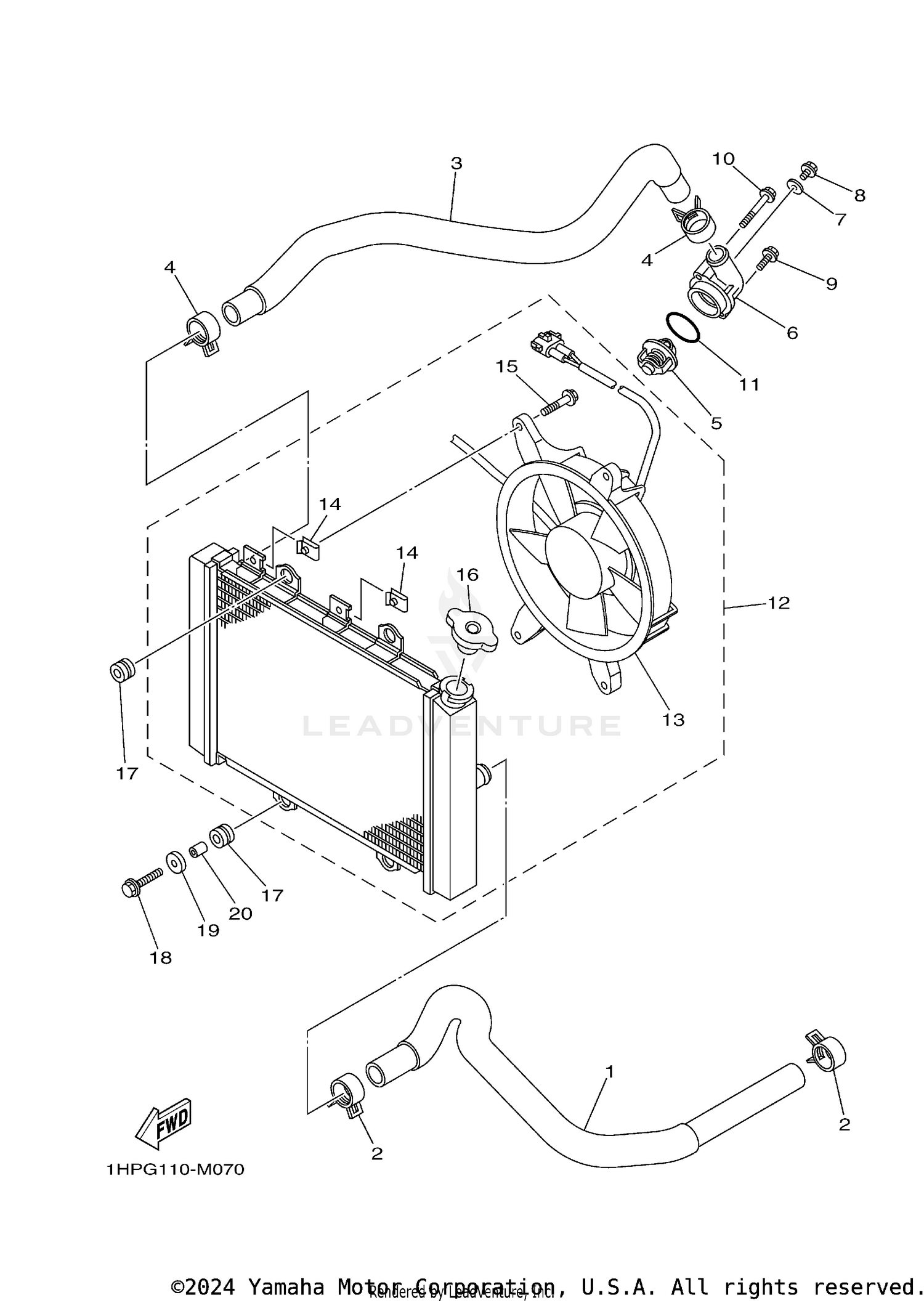 RADIATOR & HOSE