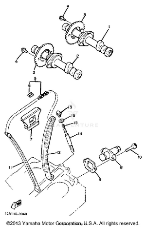 Camshaft Chain Schematic