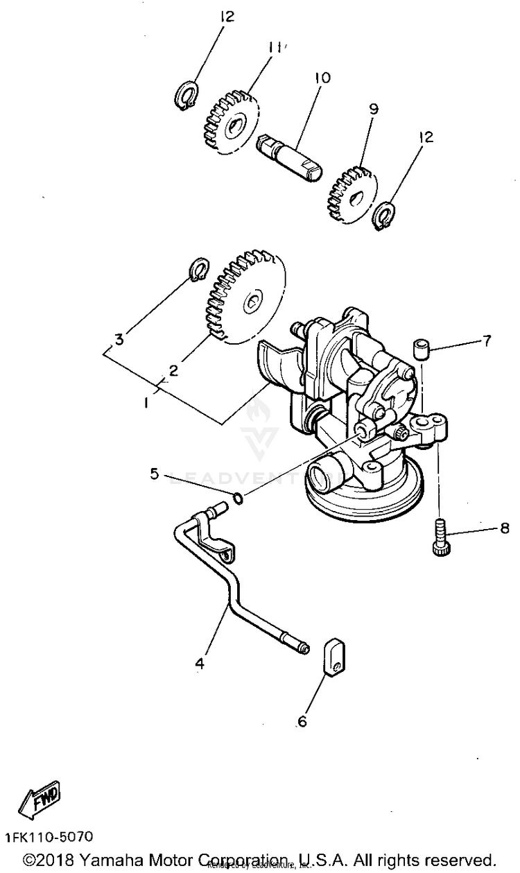 Oil Pump Schematic