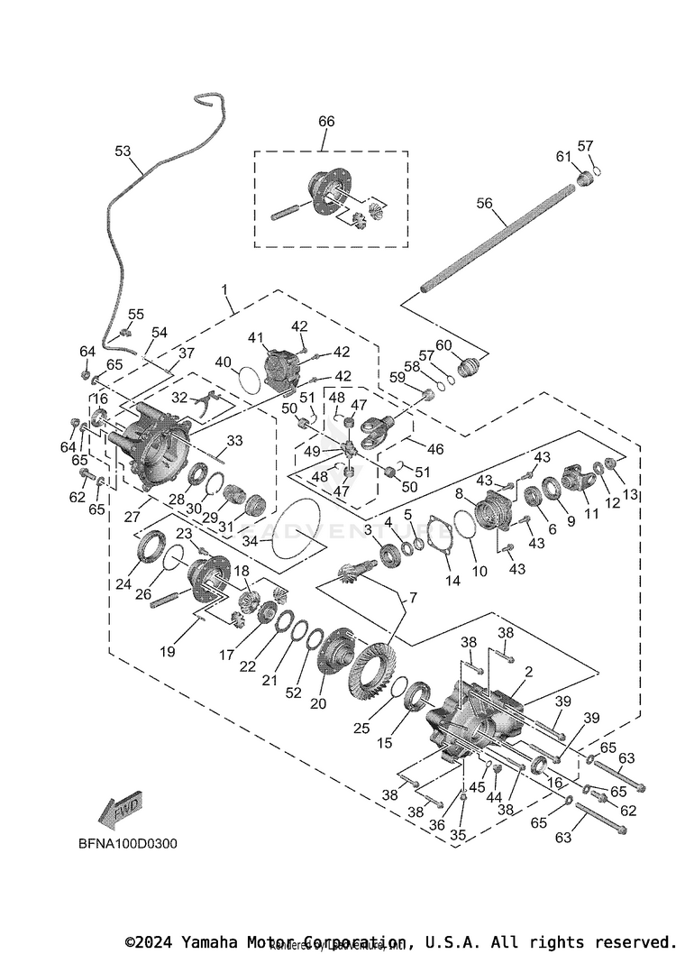 Front Differential Schematic