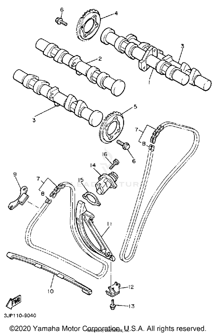 Camshaft Chain California Model Only Schematic