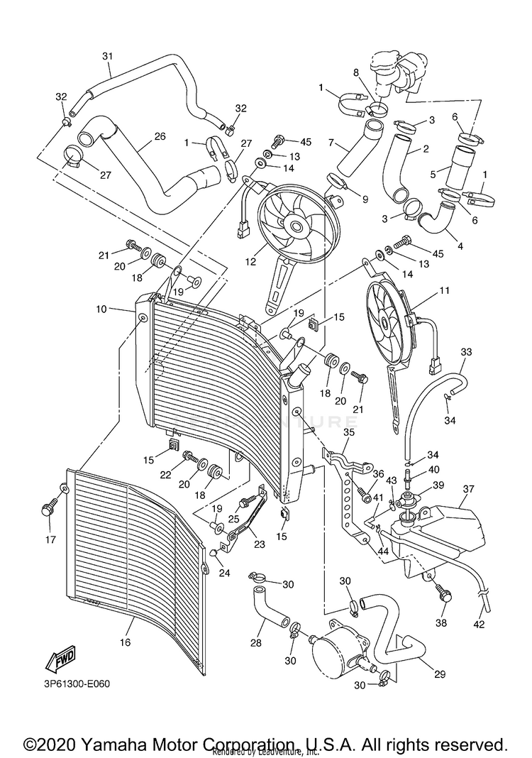 Radiator Hose Schematic