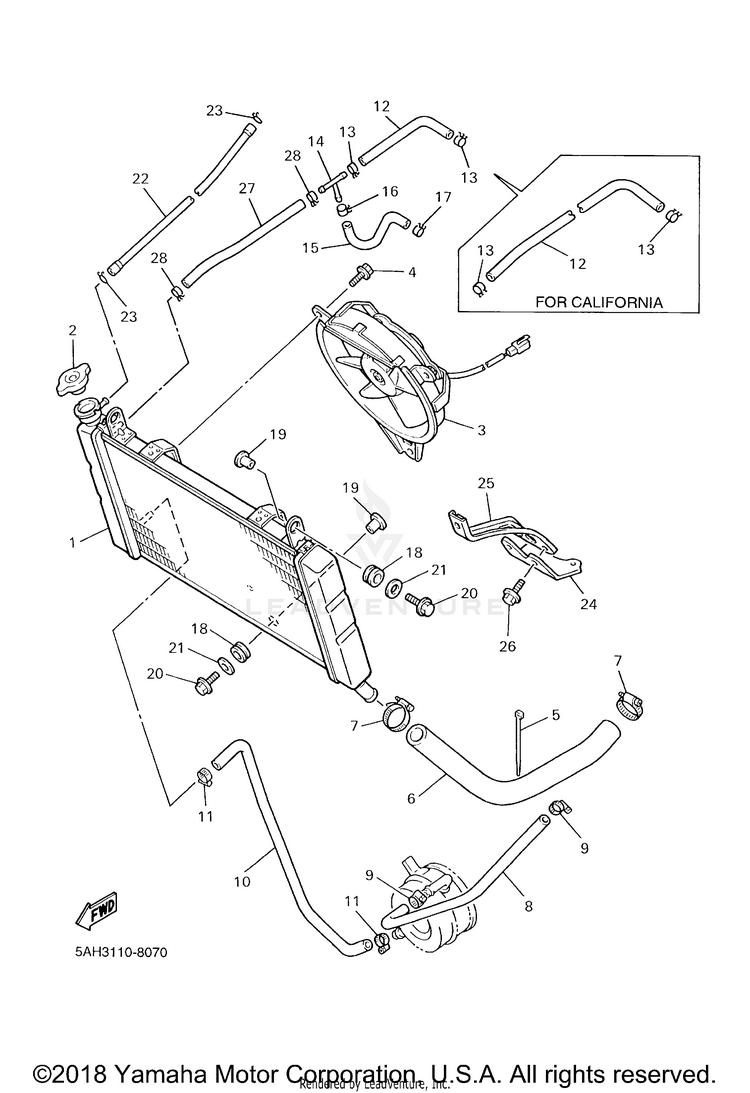 Radiator Hose Schematic